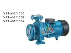 Bơm cánh đĩa mặt bít XSTm32/160C - XSTm32/160B - XSTm32/160A